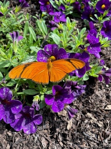 reclaiming inner authority