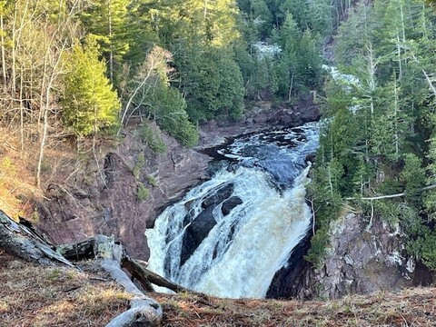 The fear of speaking up in midlife women