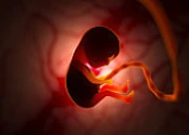 Birth experience in midlife